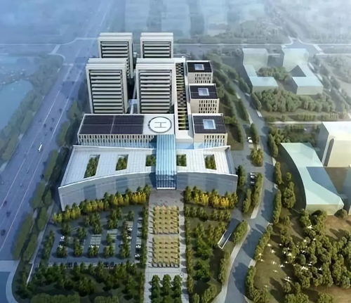 胶州撤市设区迎来关键进展，市长明确答复提振区域发展信心